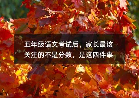 ���꼉�Z�Ŀ�ԇ�󣬼��L��ԓ�Pע�Ĳ��Ƿ֔������@�ļ���