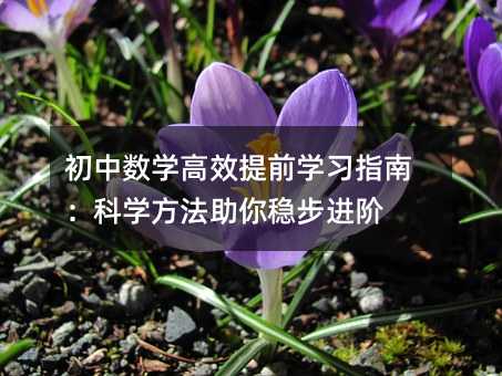 初中數(shù)學高效提前學習指南:科學方法助你穩(wěn)步進階