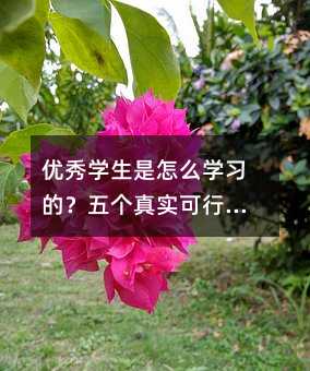 ��(y��u)��W(xu��)������ô�W(xu��)��(x��)�ģ��傀�挍���е���(x��)�T