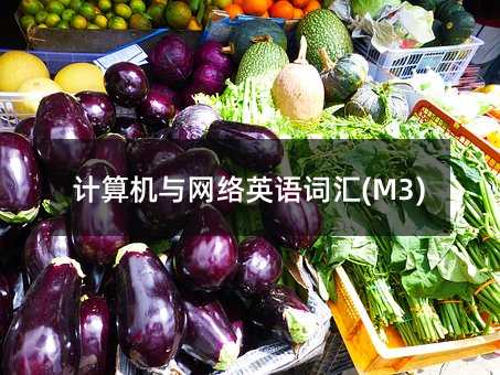 計算機與網絡英語詞匯(M3)