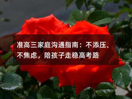 ʸָͥͨϣ퉺]㺢߷(wn)߿·