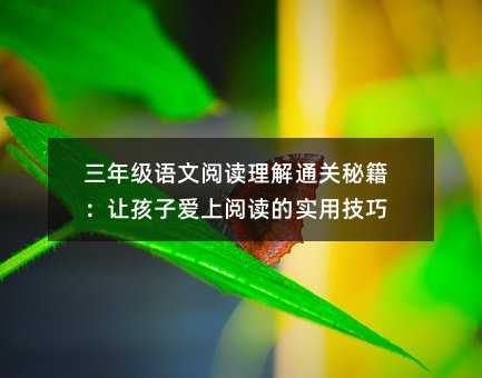 三年級語文閱讀理解通關秘籍:讓孩子愛上閱讀的實用技巧