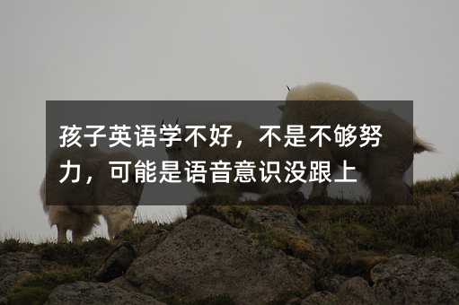 ����Ӣ�Z�W(xu��)���ã����ǲ���Ŭ�����������Z�����R�]����