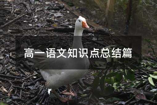 ��һ�Z��֪�R�c���Yƪ