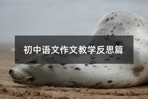 初中語文作文教學反思篇