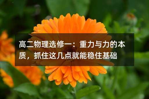 高二物理選修一:重力與力的本質,抓住這幾點就能穩住基礎