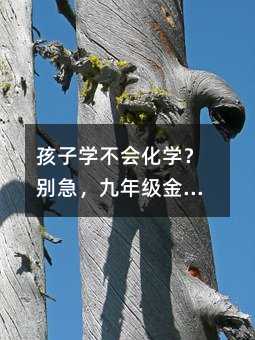 孩子學不會化學?別急,九年級金屬部分的真相藏在生活里