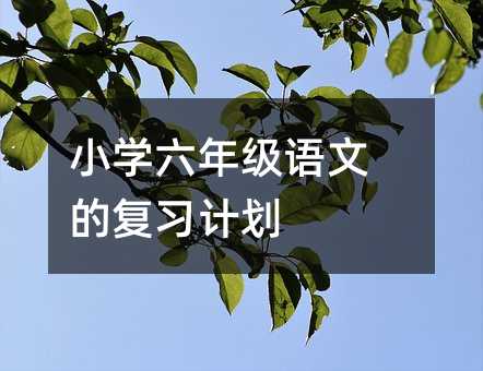 С�W���꼉�Z�ĵď���Ӌ��