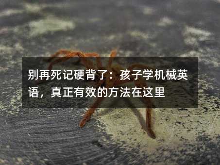 �e����ӛӲ���ˣ����ӌW�CеӢ�Z��������Ч�ķ������@��