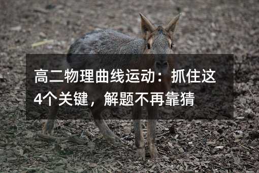 �߶����������\�ӣ�ץס�@4���P(gu��n)�I�����}���ٿ���