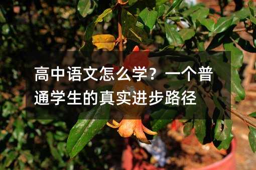 �����Z����ô�W��һ����ͨ�W�����挍�M��·��