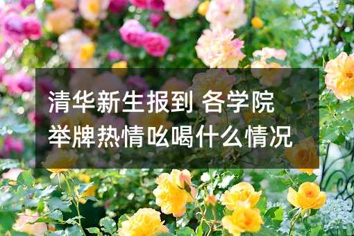 ���A������ ���WԺ�e�Ɵ���ߺ��ʲô��r