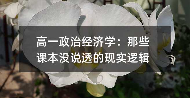 高一政治經濟學:那些課本沒說透的現實邏輯