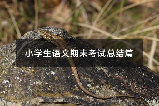 С�W���Z����ĩ��ԇ���Yƪ