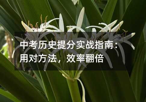 пvʷ֌ָϣÌЧʷ