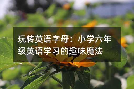 DӢZĸСW꼉ӢZWȤζħ