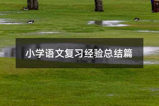 小學(xué)語(yǔ)文復(fù)習(xí)經(jīng)驗(yàn)總結(jié)篇