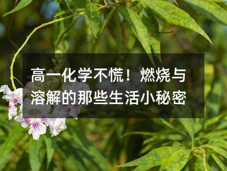 ��һ���W���ţ�ȼ���c�ܽ����Щ����С����