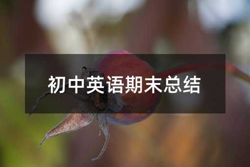 初中英語期末總結