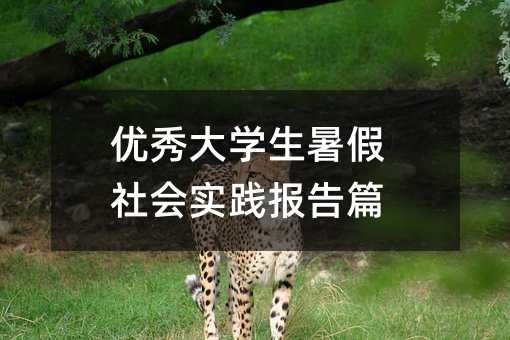 優秀大學生暑假社會實踐報告篇