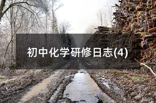 初中化學研修日志(4)