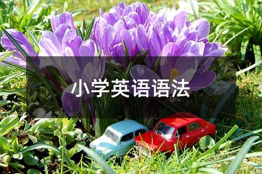 小學(xué)英語語法