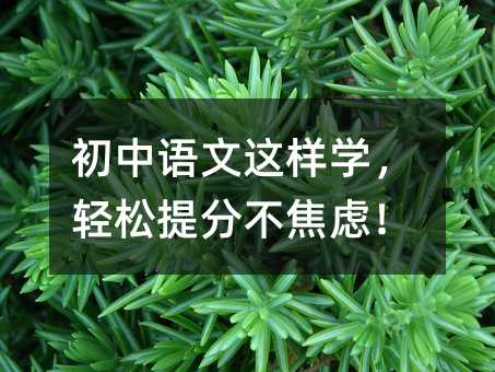 初中語文這樣學,輕松提分不焦慮!