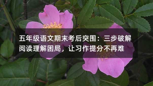 五年級語文期末考后突圍:三步破解閱讀理解困局,讓習作提分不再難