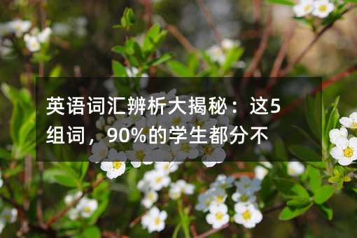 英語詞匯辨析大揭秘:這5組詞,90%的學(xué)生都分不清!