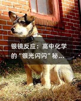 yR(yng)лW(xu)ġyWWؼ߶ؿ