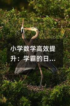 小學數(shù)學高效提升:學霸的日常習慣與思維躍遷實戰(zhàn)指南