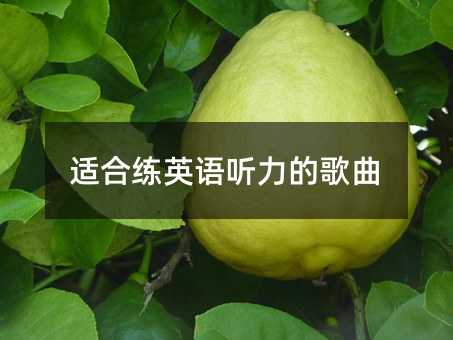 �m�Ͼ�Ӣ�Z ���ĸ���