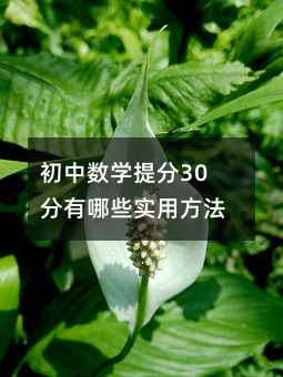 初中數學提分30分有哪些實用方法?