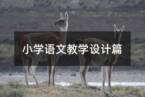 СW(xu)Z(y)Ľ̌W(xu)O(sh)Ӌ(j)ƪ