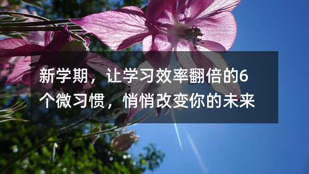 Wڣ׌WЧʷ6΢Tĸ׃δ