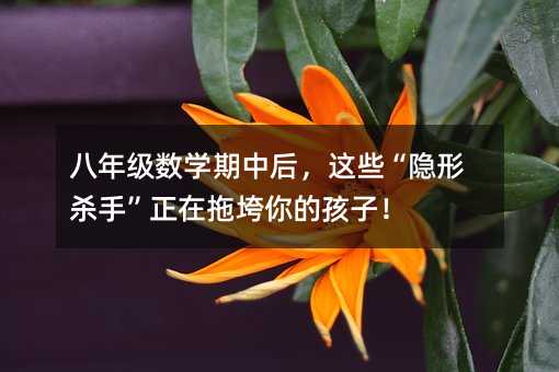 八年級數學期中后,這些“隱形殺手”正在拖垮你的孩子!