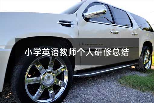 小學(xué)英語(yǔ)教師個(gè)人研修總結(jié)