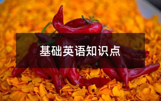 基礎(chǔ)英語知識點(diǎn)