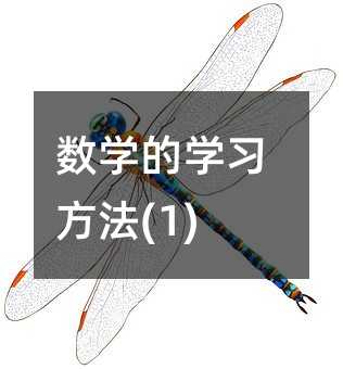 數(shù)學(xué)的學(xué)習(xí)方法(1)