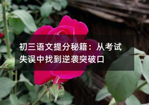 初三語文提分秘籍:從考試失誤中找到逆襲突破口