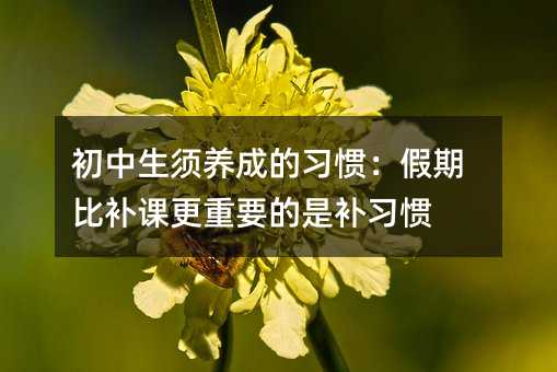 初中生須養成的習慣:假期比補課更重要的是補習慣