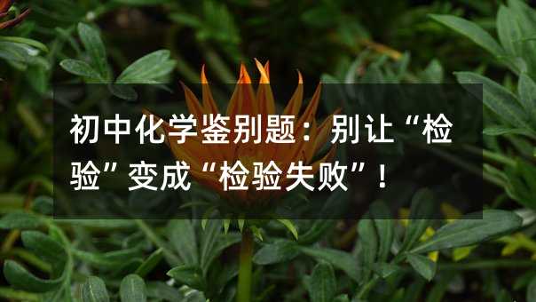 初中化學(xué)鑒別題:別讓“檢驗(yàn)”變成“檢驗(yàn)失敗”!