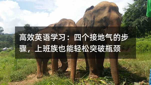 高效英語學習:四個接地氣的步驟,上班族也能輕松突破瓶頸