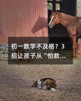 初一數(shù)學(xué)不及格?3招讓孩子從“怕數(shù)學(xué)”到“愛數(shù)學(xué)”