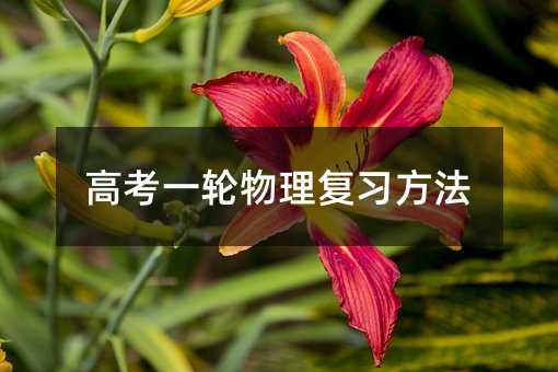 高考一輪物理復習方法