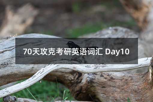70天攻克考研英語詞匯 Day10