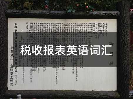 稅收報(bào)表英語詞匯