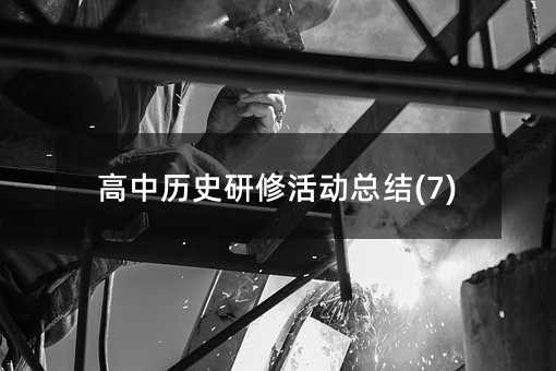 高中歷史研修活動總結(jié)(7)