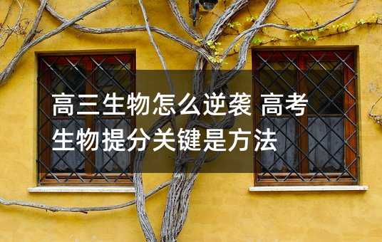 ����������ô���u �߿���������P�I�Ƿ���