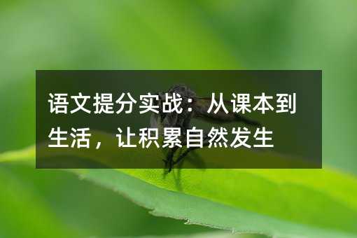 語文提分實戰:從課本到生活,讓積累自然發生